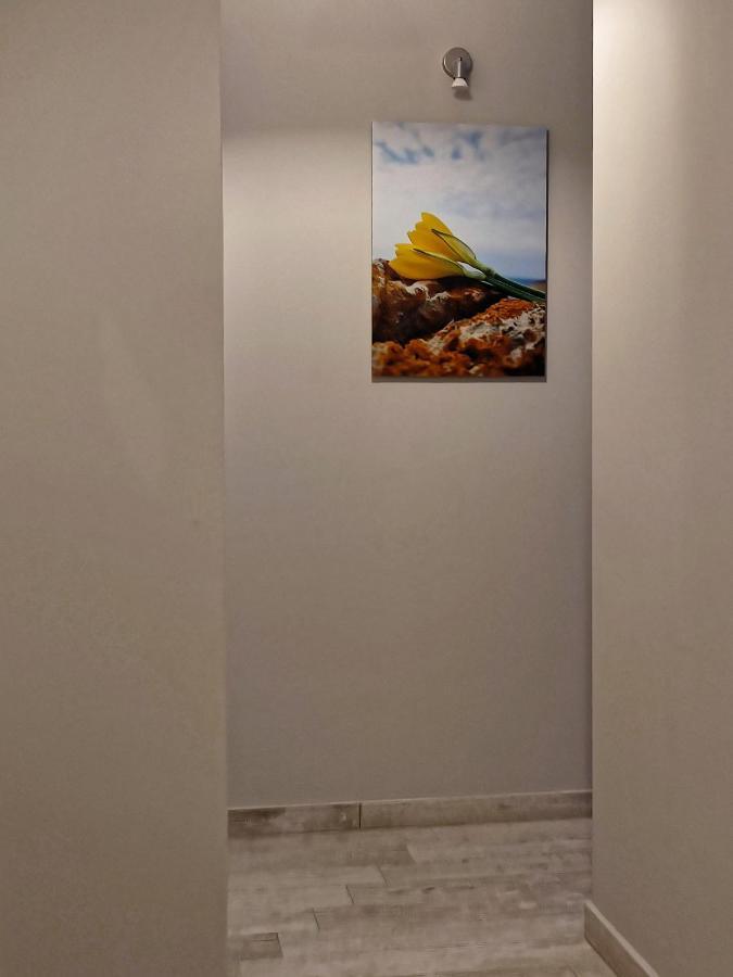 Seaview-Apartments Palaiá Fókaia エクステリア 写真